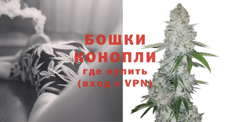 Бошки марихуана OG Kush  сколько стоит  Раменское 